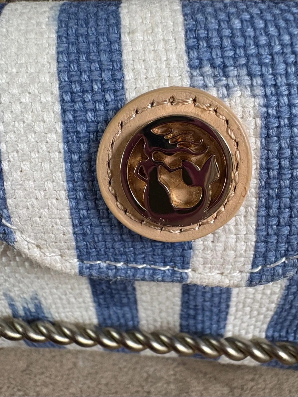Spartina blue and white glasses/sunglasses case